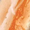 Orange Kant